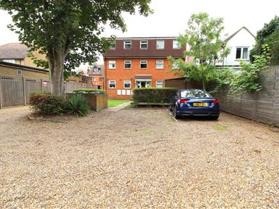 Picture 11
